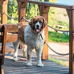 캠프장 Osrodek Wypoczynek Wodnik *