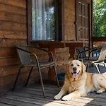 Osrodek Wypoczynek Wodnik 캠프장