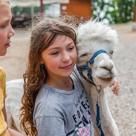 Kemp Osrodek Wypoczynek Wodnik