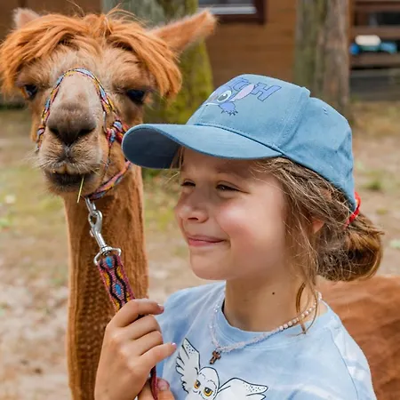 Kemp Osrodek Wypoczynek Wodnik *