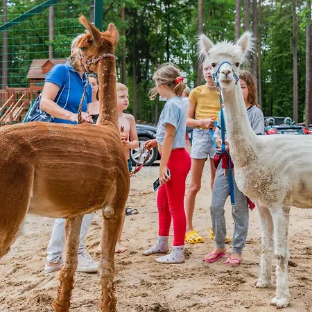 Osrodek Wypoczynek Wodnik * Ruciane-Nida