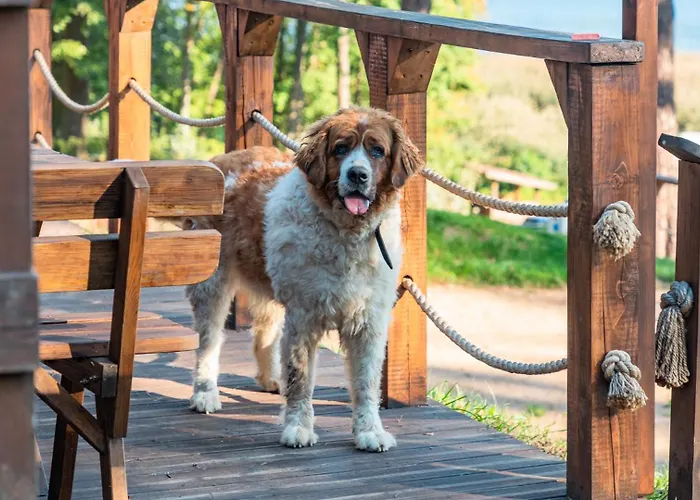 Kemp Osrodek Wypoczynek Wodnik *