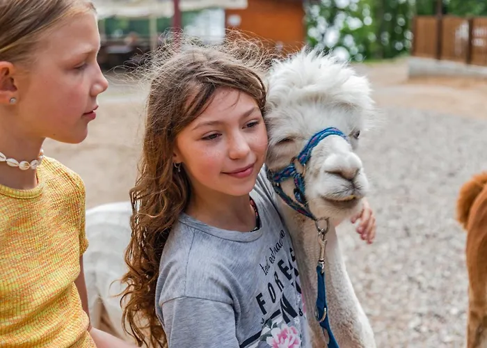 Kemp Osrodek Wypoczynek Wodnik