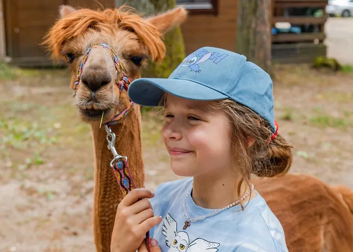 Kemp Osrodek Wypoczynek Wodnik *
