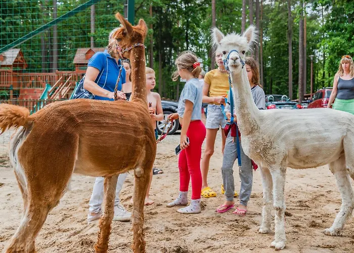 Osrodek Wypoczynek Wodnik * Ruciane-Nida